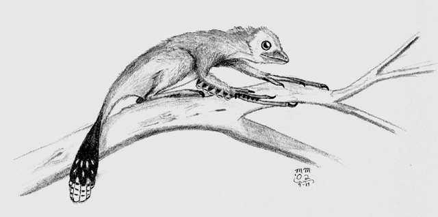 scansoriopteryx