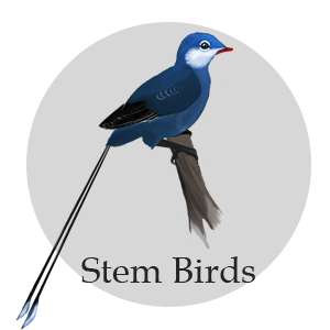 stem birds