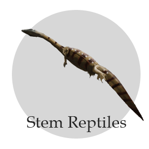stem reptiles