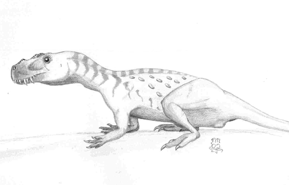 ceratosaurus juvenile