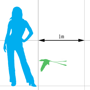 Scale diagram