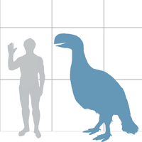 Struthiomimus scale