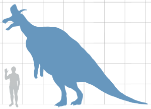 Struthiomimus scale