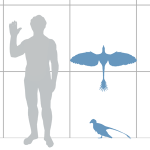 Scale diagram