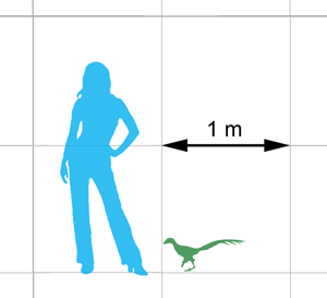 Scale diagram