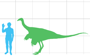 Struthiomimus scale