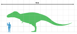 Manospondylus scale