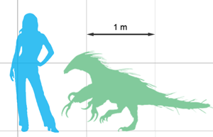 scale
