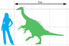 scale